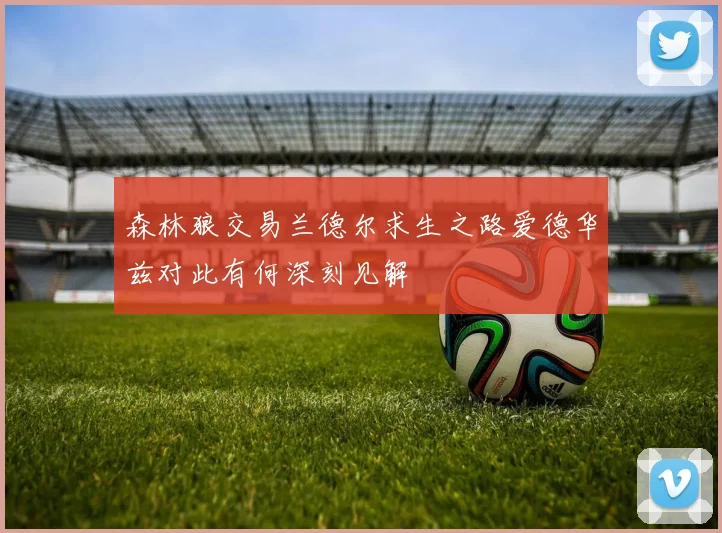 森林狼交易兰德尔求生之路爱德华兹对此有何深刻见解